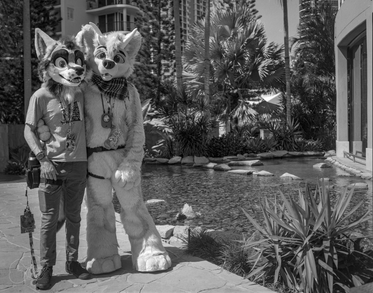 Asherthedolf's tweet photo. Just hanging out in the 1950s 🤭 Furdu was a blast.

📸-@tatosnowleopard 
🔺- Koda (@WinterFolf2) https://t.co/uG67ExQBeX