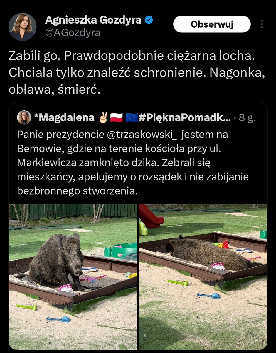 Haim Ashkenaz Puzzlonovitch tweet media