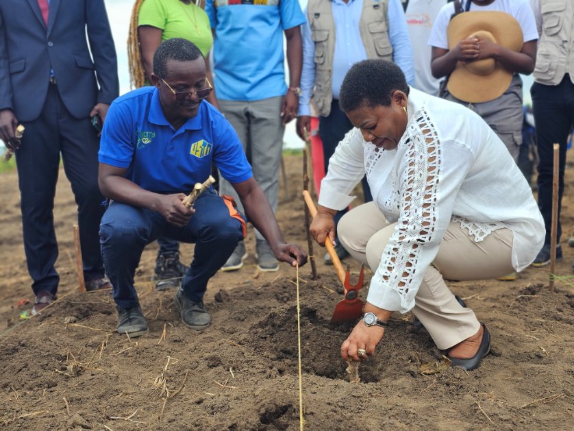 undpgabon's tweet photo. Inauguration de la Ferme Expérimentale de l’INSAB

Le @undpgabon, en partenariat avec le partenaires du Fonds IBSA et le Gouvernement gabonais, a officiellement lancé la ferme expérimentale de l'INSAB au sein de l'USTM.

Après une visite des installations clés, cette inauguration a marqué une étape majeure vers la modernisation de l'enseignement agricole. En tant que centre de recherche pour la valorisation de la filière manioc, cette ferme servira de hub académique pour transmettre les technologies durables et le savoir-faire technique aux étudiants.

Ce premier coup de pelle symbolise un jalon décisif pour le renforcement de la sécurité alimentaire et la transformation économique du Gabon par l'agriculture.

#PNUDGabon #FondsIBSA #INSAB #AgriTech #SouverainetéAlimentaire #CoopérationInternationale #Gabon