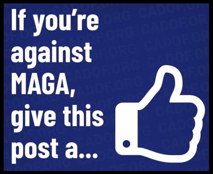 Just saying tweet media