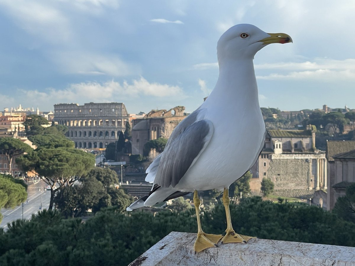 Jenson.Liu tweet media