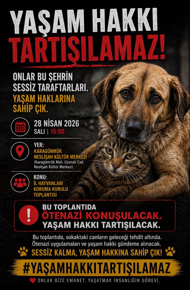 Cenk Eren (@cenkerenonline) on Twitter photo 