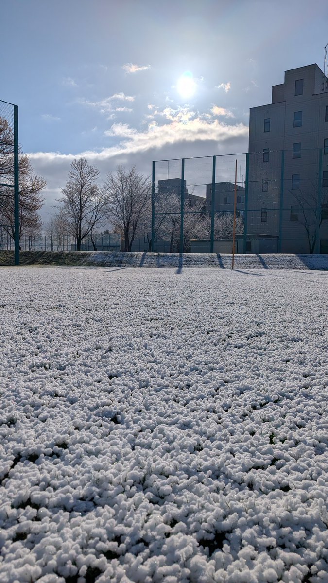 北見の積雪観測情報（気象予報士 白川龍生） tweet media