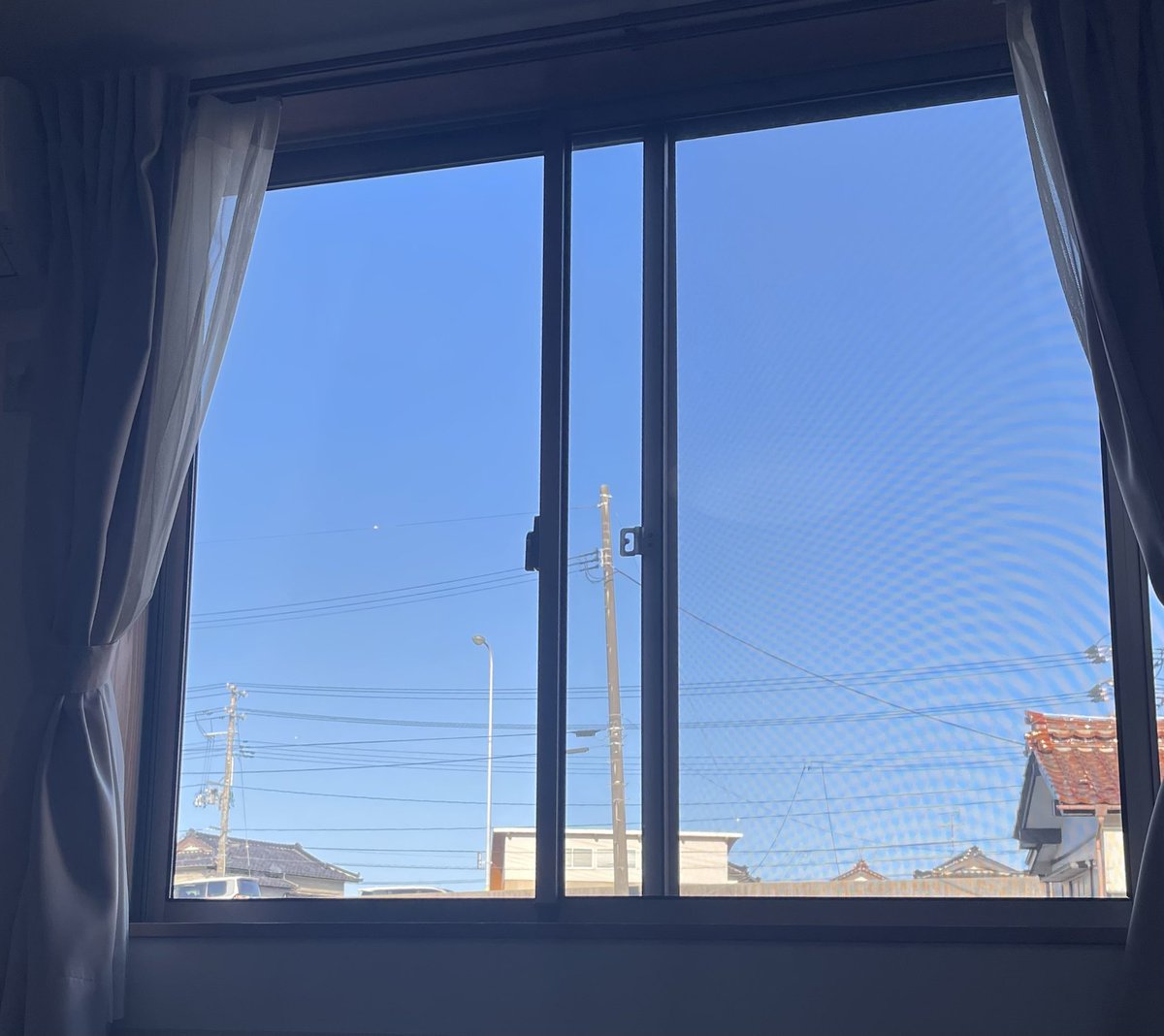 ハナビラ tweet media