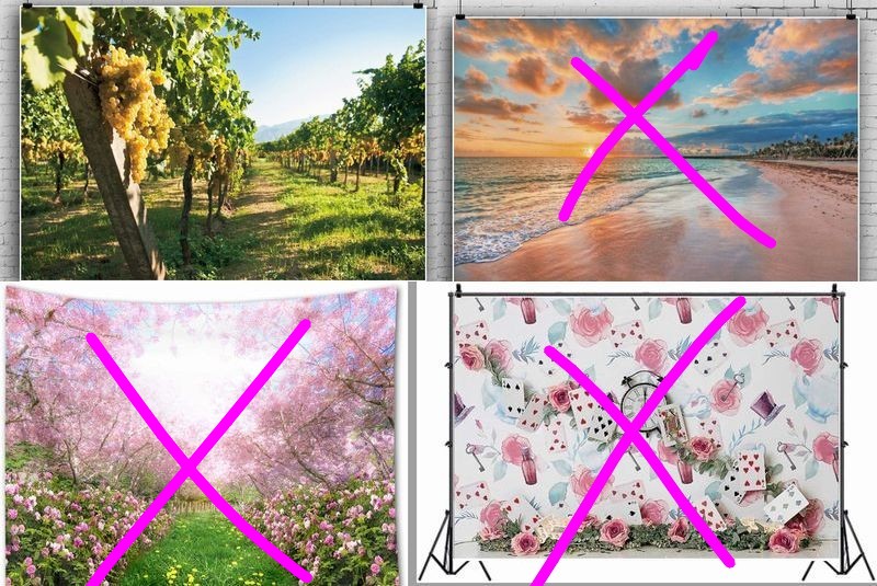 studio Edelstein(スタジオ エーデルシュタイン) tweet media