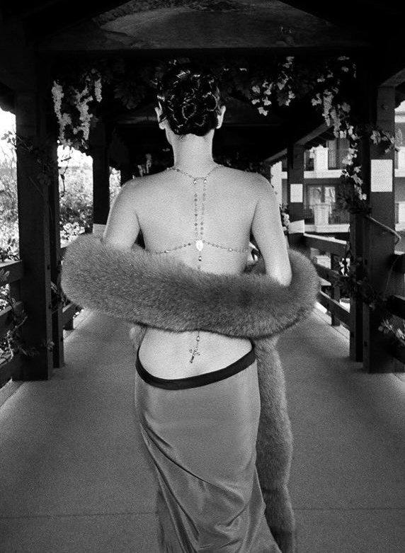 alexa demie archive tweet media