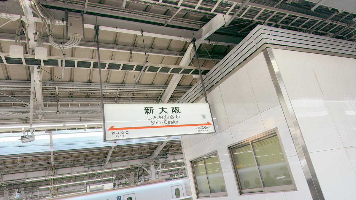 馬刺し tweet media