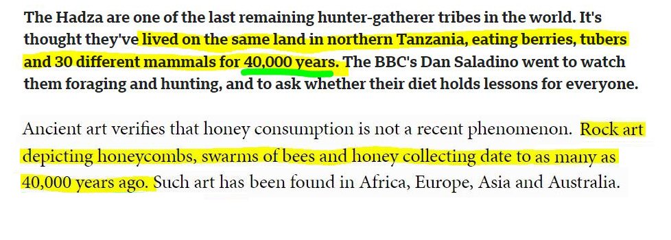 DavidVio2's tweet photo. @Ondrackula @MeTheAngryCat @BiggestComeback With the harnessing of fire and smoke humans also gained the ability to acquire honey both safely and in massive quantities for the first time. That along with cooked starch further added to the massive abundance of dietary glucose humans suddenly had access to. https://t.co/3dFwooh0X4