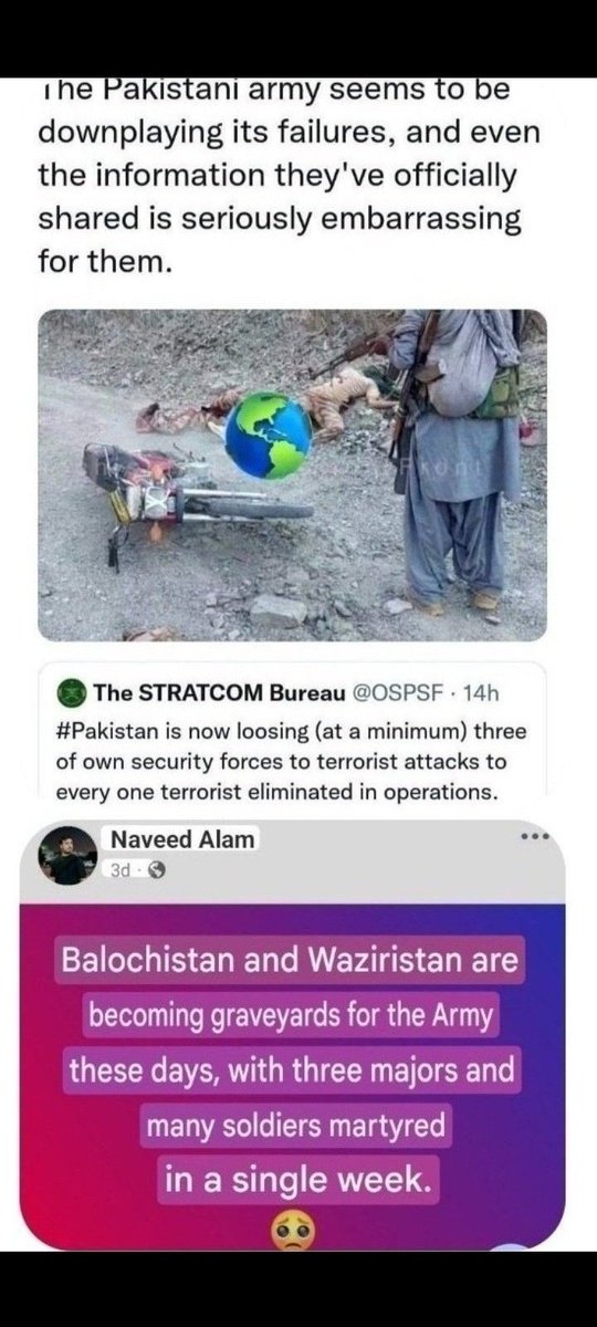 LancerTk tweet media