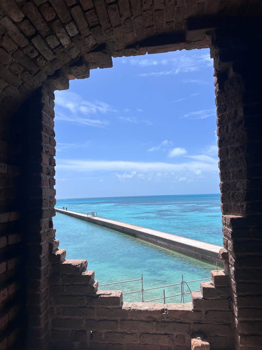 SigsbeeSailfish's tweet photo. There's no better way to learn about mangrove mitigation and erosion than visiting a National Park and immersing yourself in preservation . @dodeagrants @DryTortugasNPS https://t.co/C8K5EYlqey