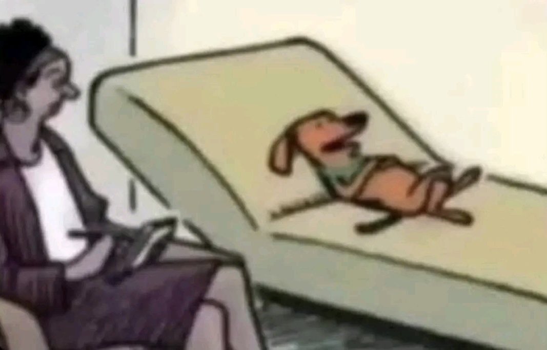 todo empezó cuando decidí ver ot y me hice fan de una lesbiana medio inglesa q escribe canciones sobre sus traumas