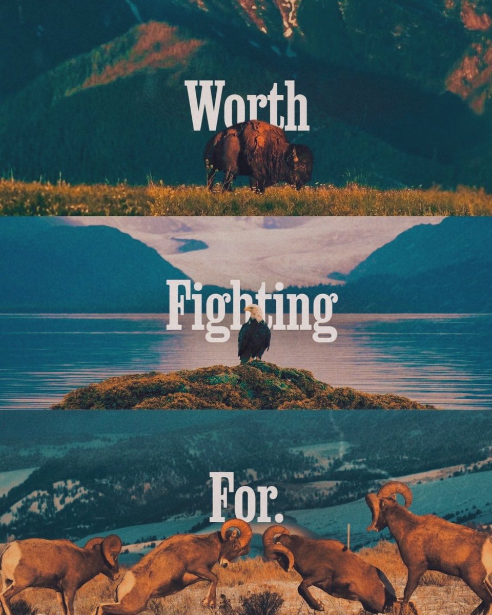 Save America Act tweet media