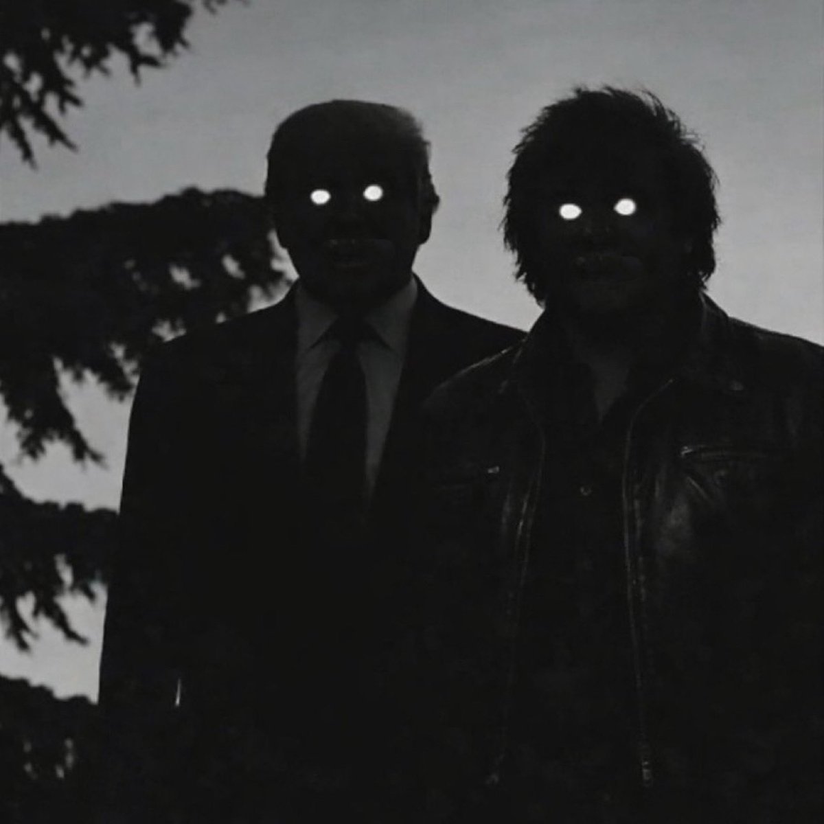 DAN DEL FUTURO tweet media