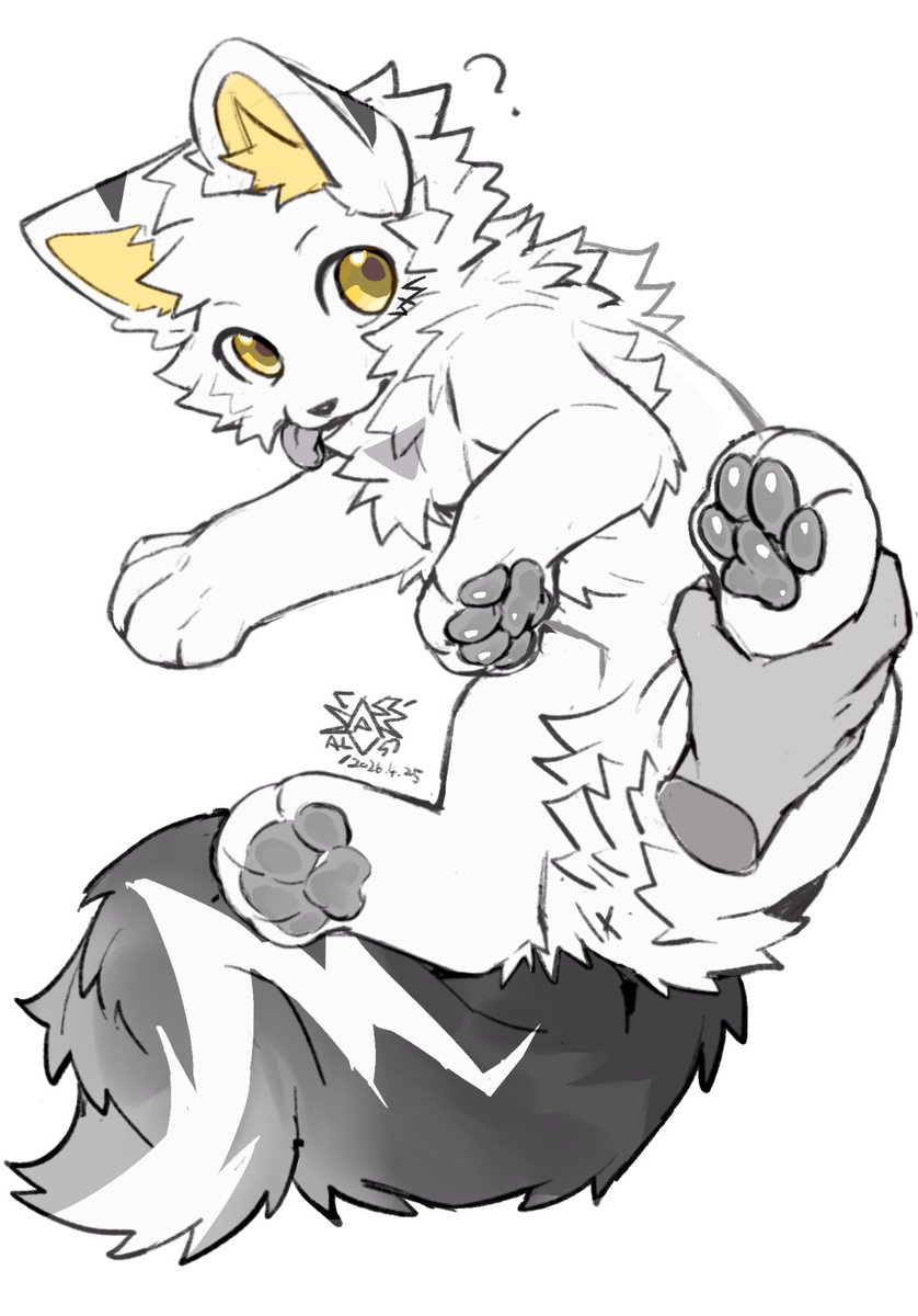 随机叫小狗 tweet media