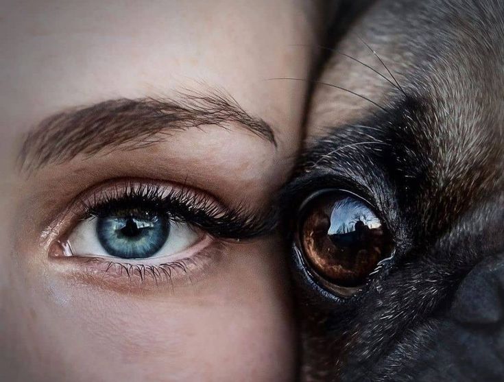 Jolie 🐕💕 tweet media