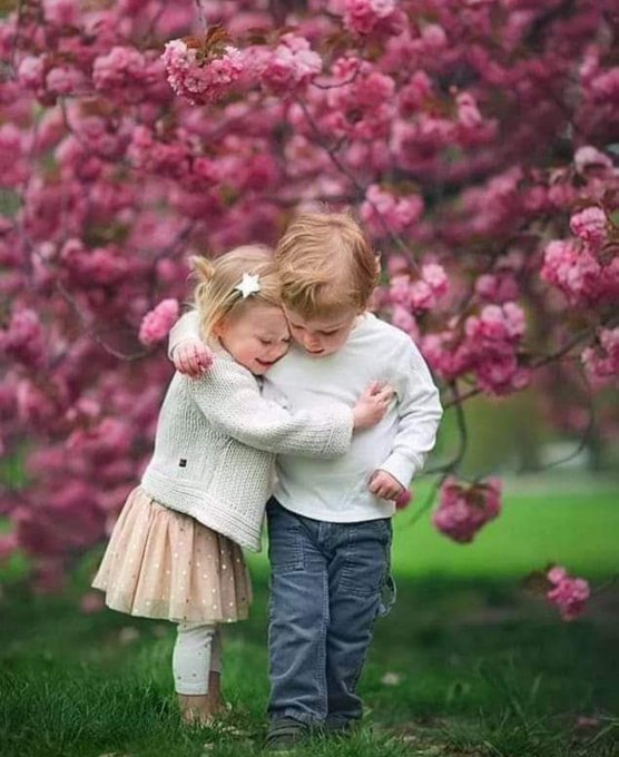 شاعر الغلابه tweet media