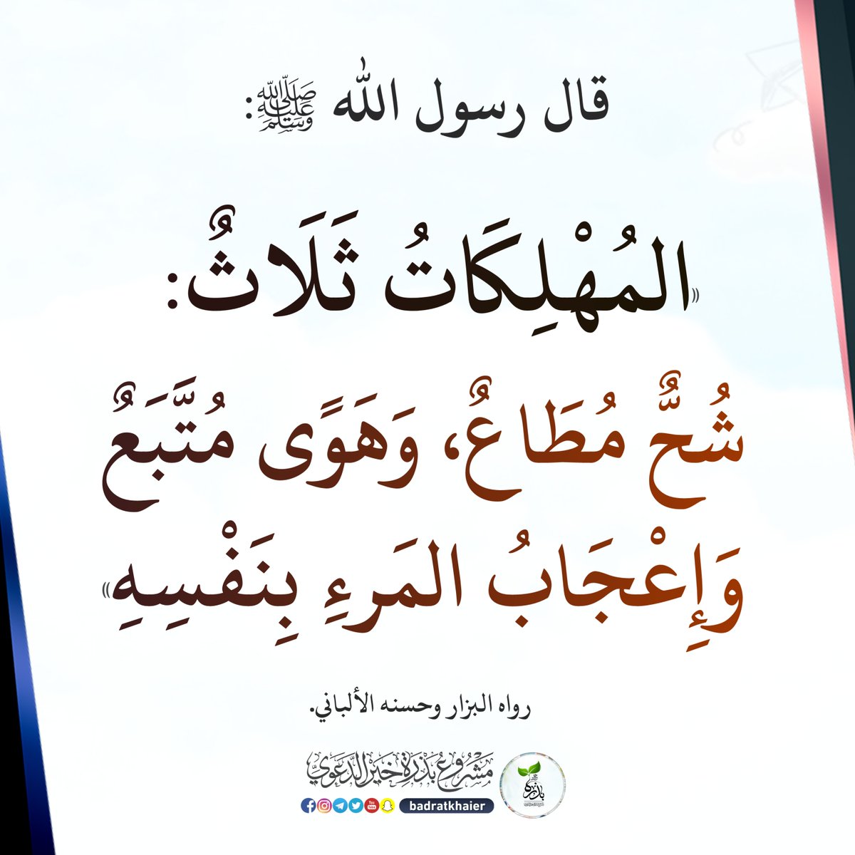 بذرة خير tweet media