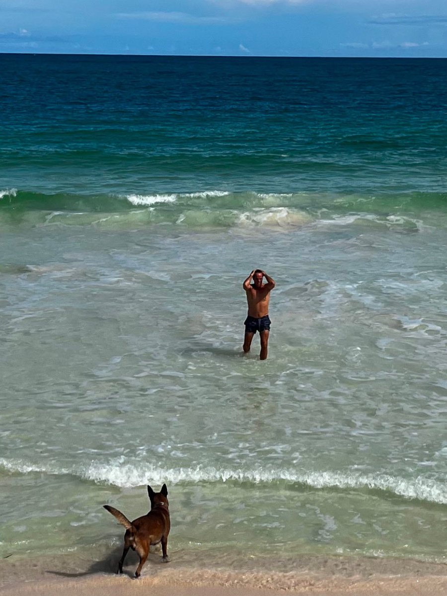 playarealty's tweet photo. Not all beachfront homes are equal. We represent select properties with location, quality, and long-term value. 

Follow us and Register for new listings at https://t.co/7LS6yClDqR https://t.co/7hWoTSb7xs