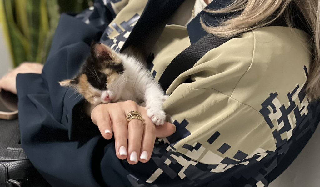 دیستال‌اکسس tweet media