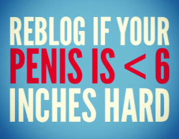 Gay Sub University🍆 tweet media