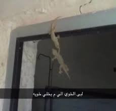 معاذ🇸🇦 tweet media