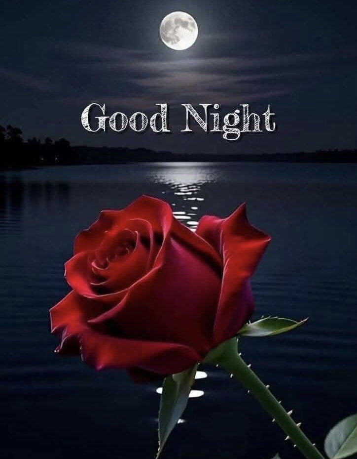 🌺 CATHY 🌺 tweet media