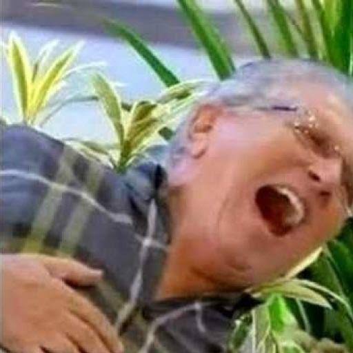 icebox a famosa geladeira tweet media