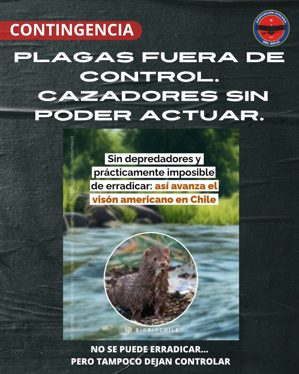 ACDRChile tweet media