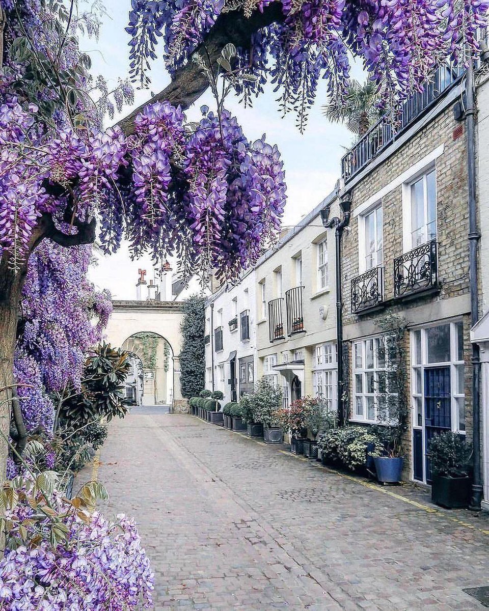 ReNature🦋 tweet media