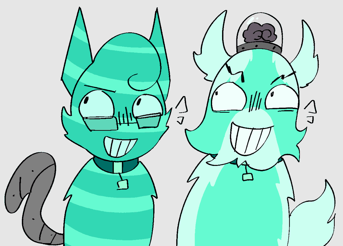 dingle !!!!!! tweet media