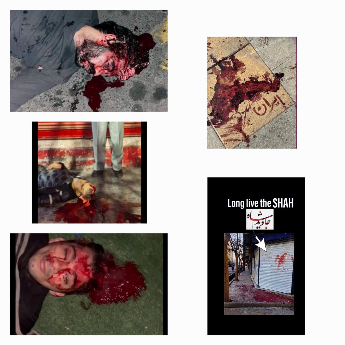 Neda🦁👑🌞 tweet media