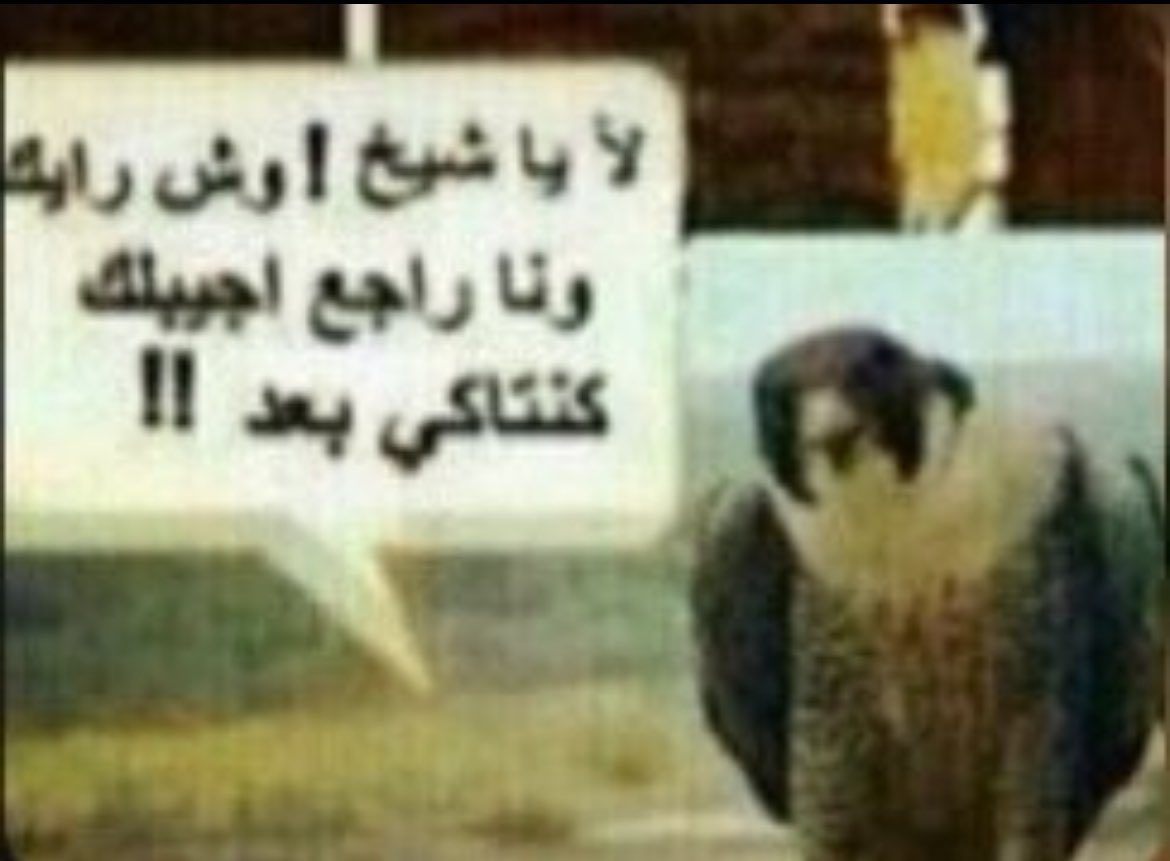 Saleh99🌬 tweet media