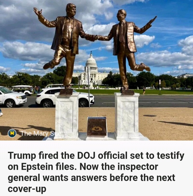 PerryWhiteE29's tweet image. #DonaldTrump been firing folks who gonna #testify about #EpsteinFiles