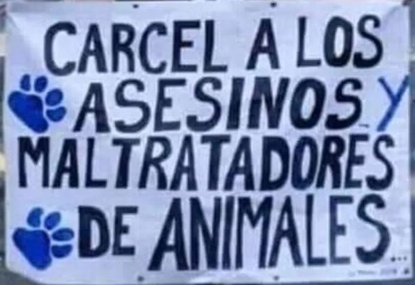 IVANNINO tweet media