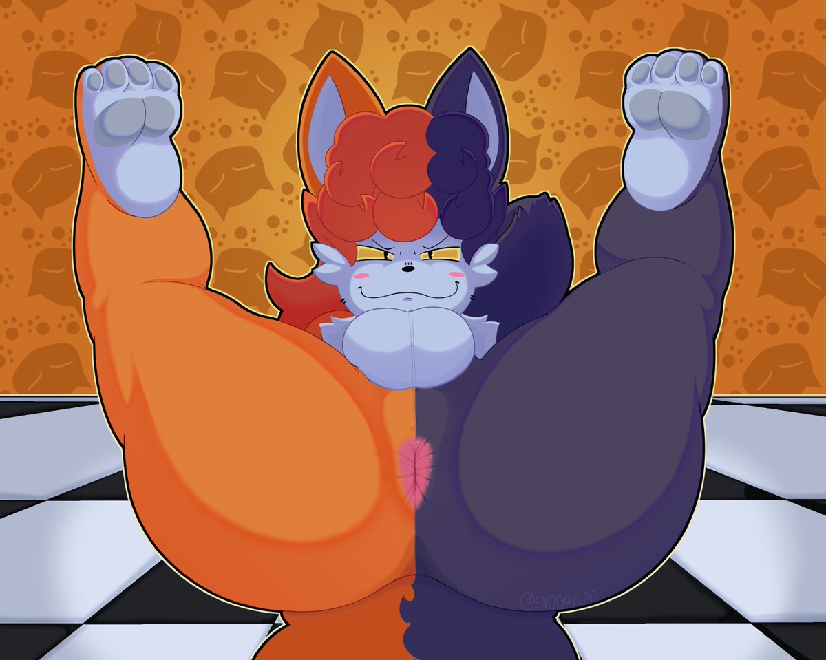 Lewdcat AD 🔞 tweet media