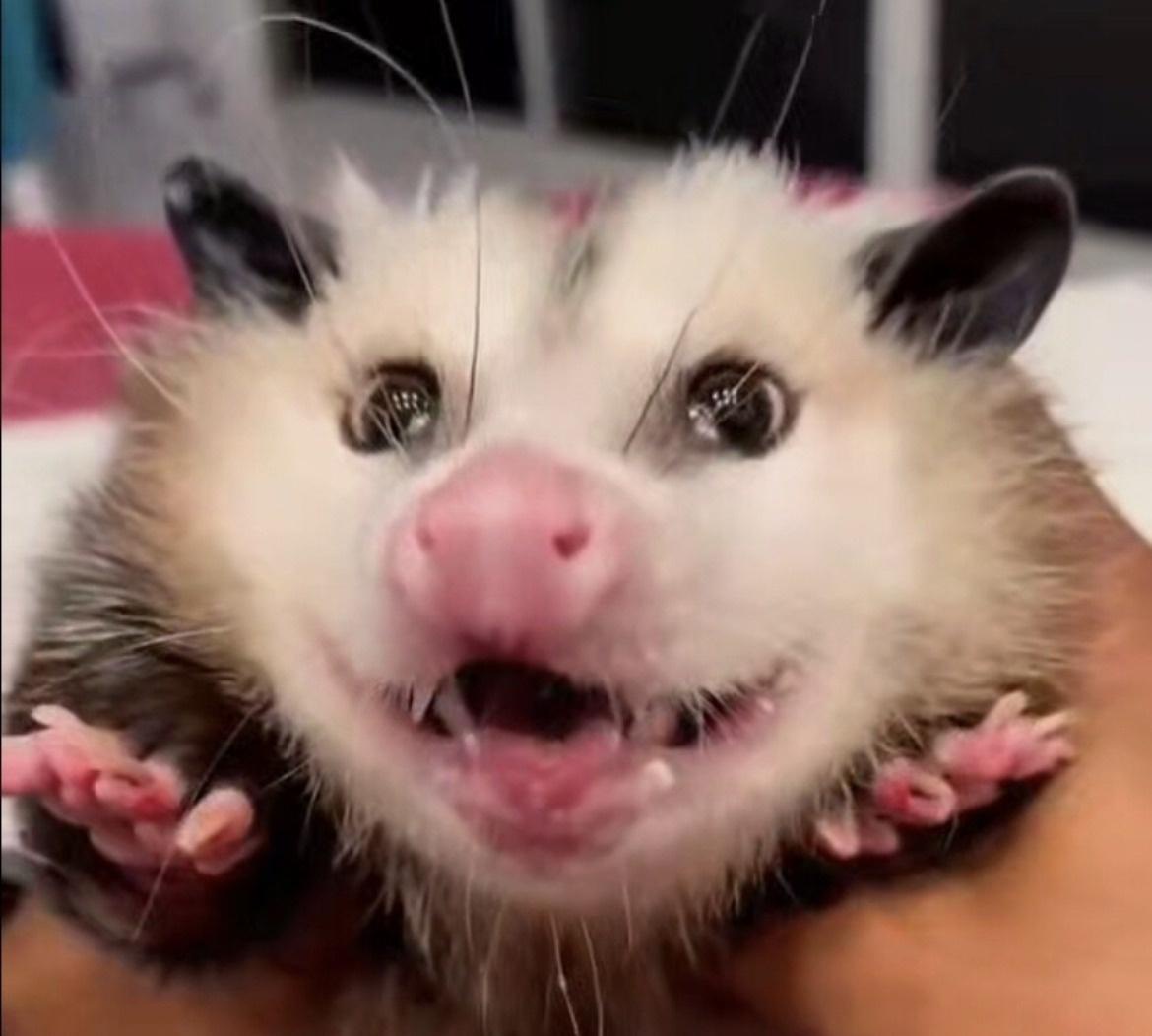 War Thunder tweet media