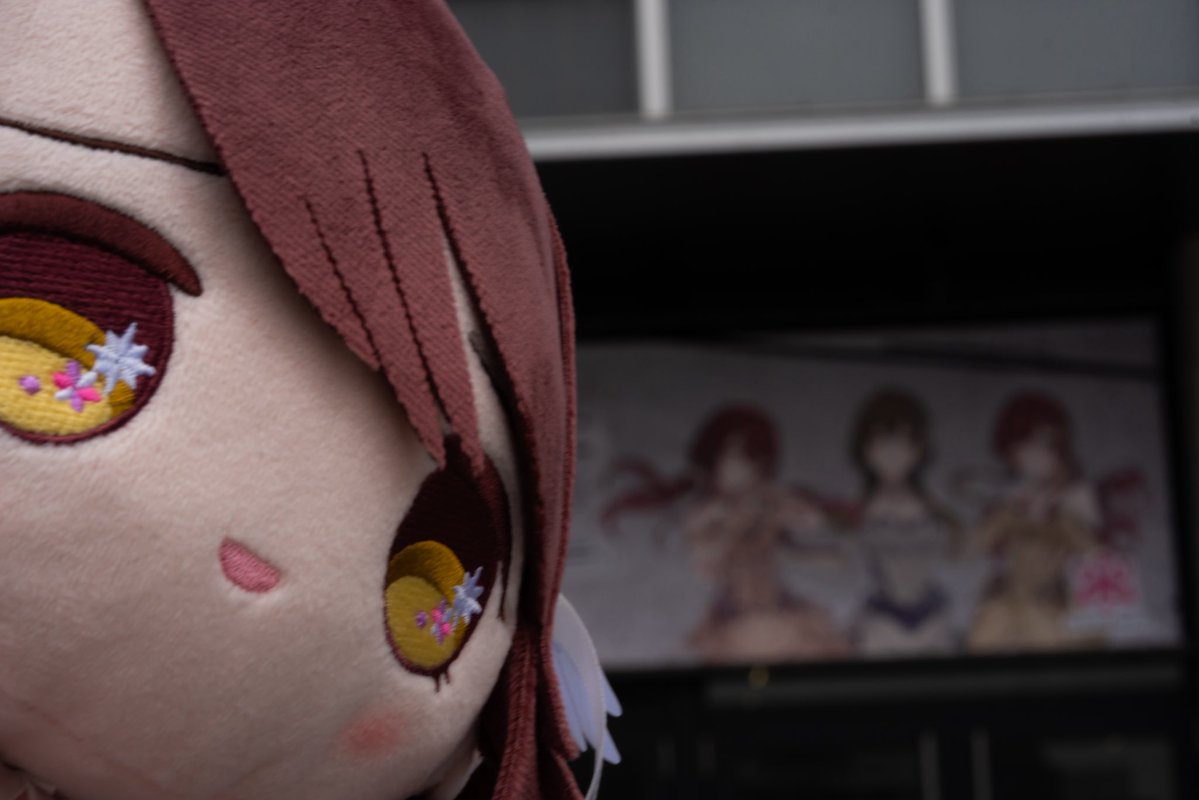 ゆとり猫P tweet media