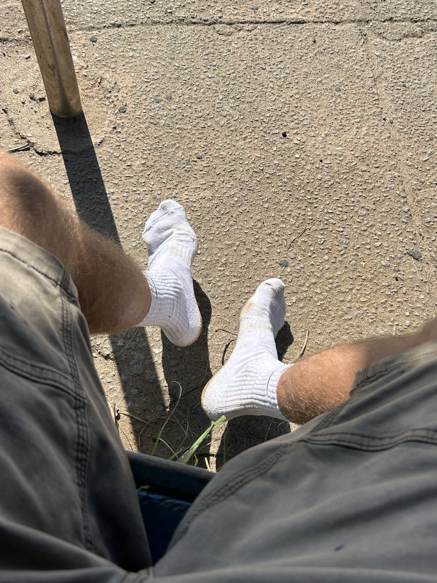 The World in White Socks (4K) tweet media