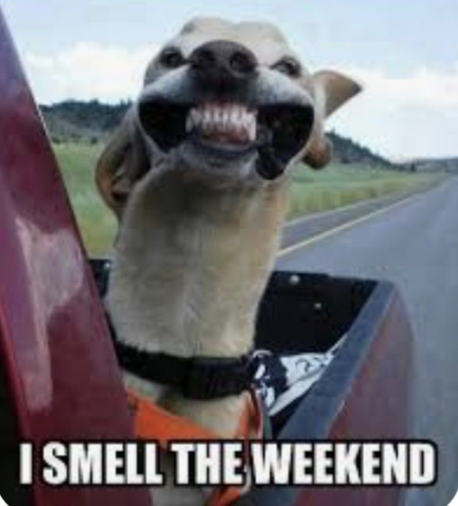 ncfirefighters's tweet image. #FridayFun Have a Great Weekend!
🚒Stay Safe...