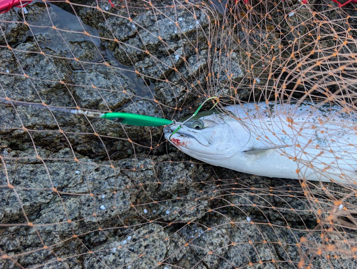 hotecraft tweet media