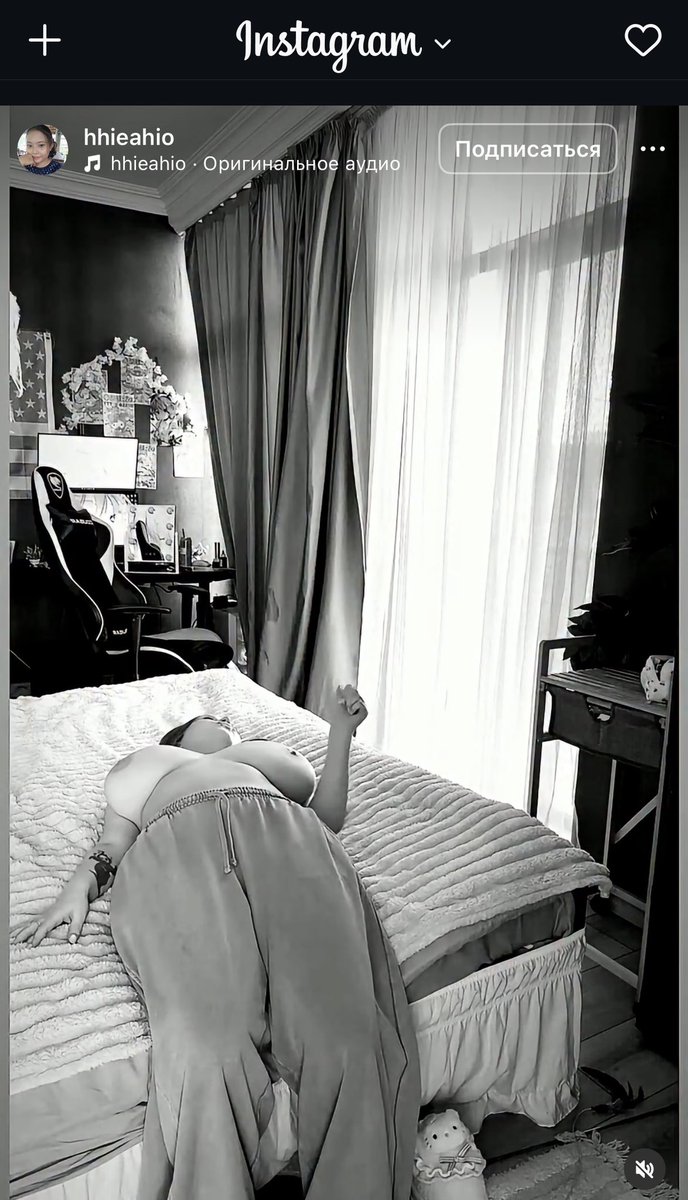 Лёха Петров tweet media