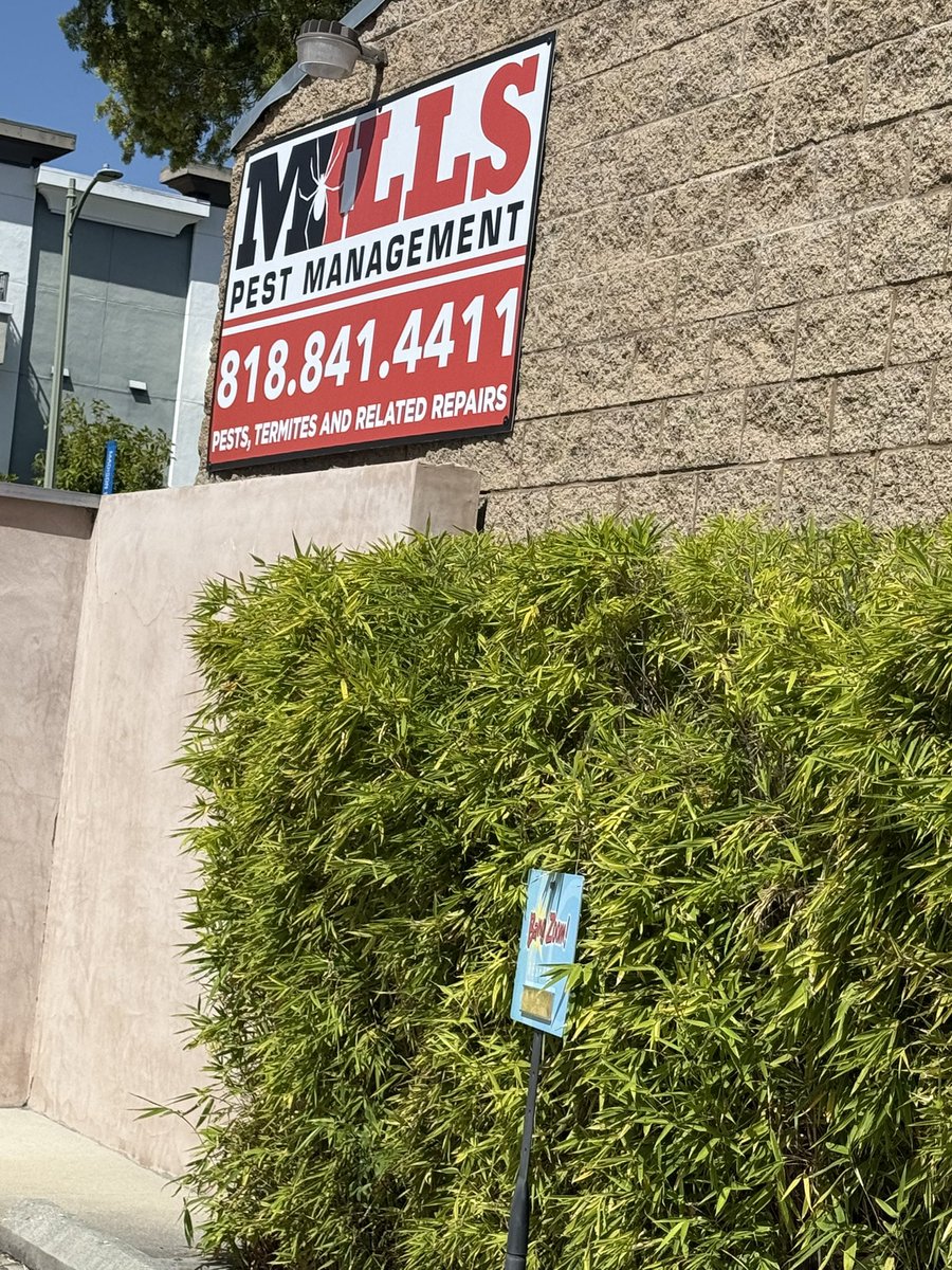 Kayli Mills 🍩👑 tweet media