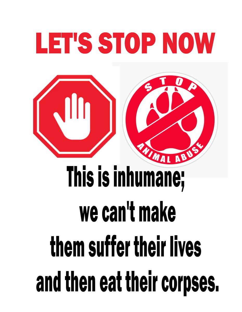 IVANNINO tweet media