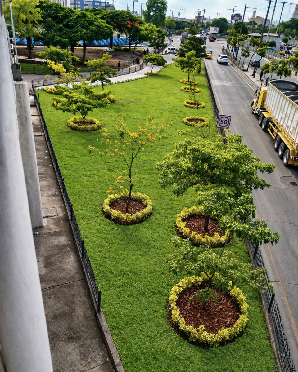 📍¡Rocódromo renovado! 

Incorporamos césped, plantas ornamentales y diseño paisajístico para darle una nueva imagen a este importante espacio de la ciudad y seguir sumando más áreas verdes para los guayaquileños.

#AsiSeHaceGuayaquil #CiudadDeTodos <a href="/alcaldiagye/">Muy Ilustre Municipalidad de Guayaquil</a> <a href="/taticoronelf/">TatianaCoronel</a>