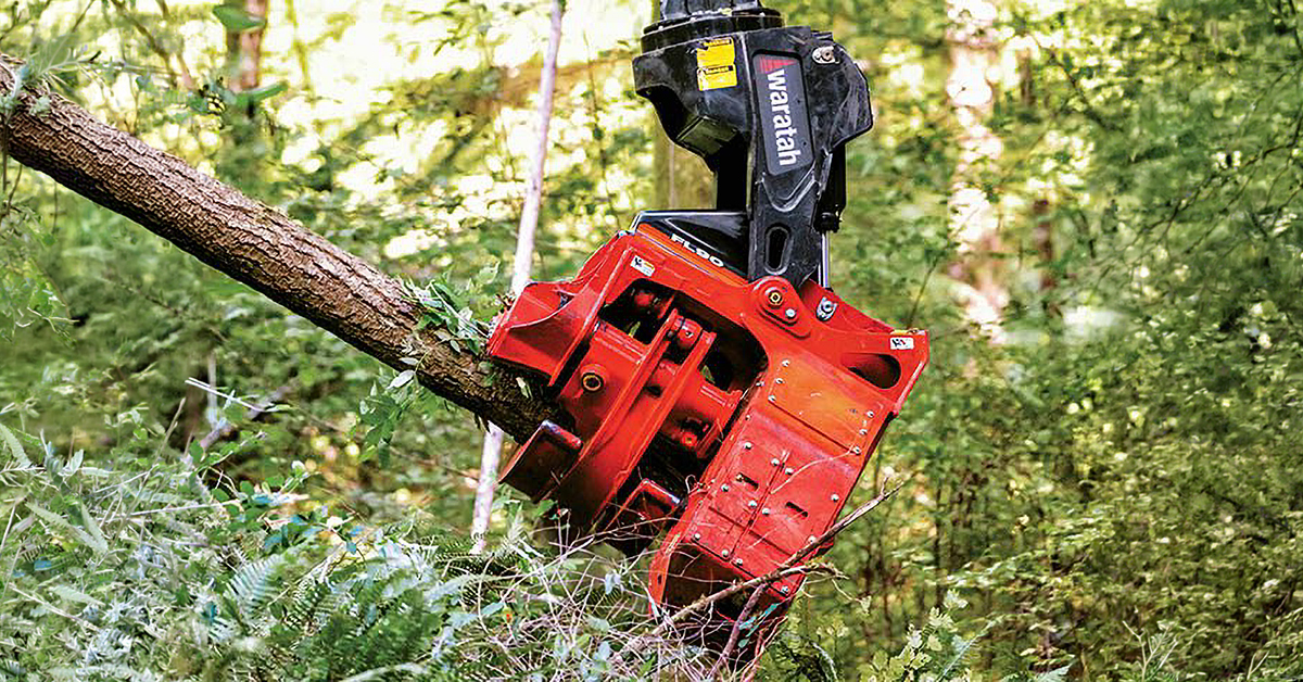 Supply Post tweet media