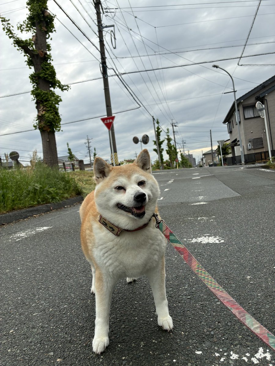 食ぱん大好き「ぱんおじさん」 tweet media