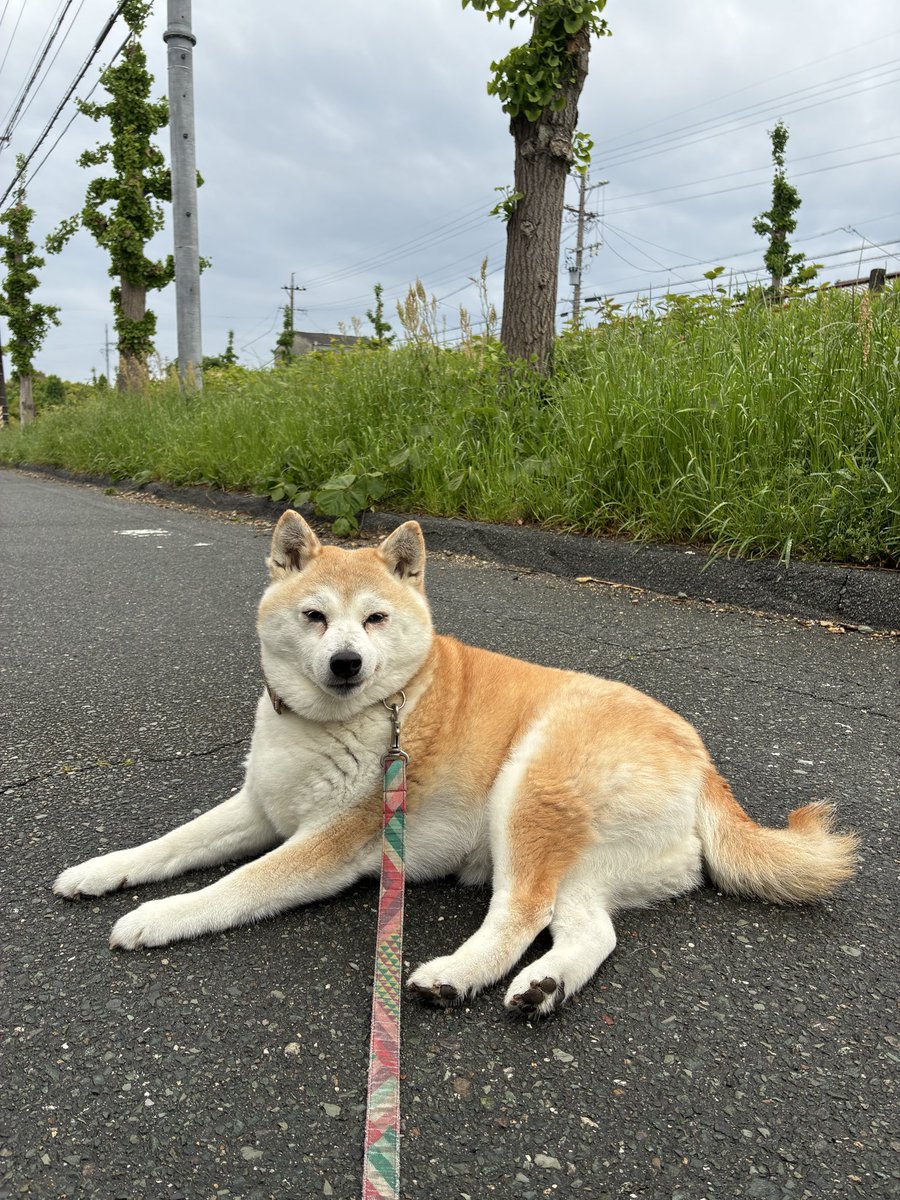 食ぱん大好き「ぱんおじさん」 tweet media