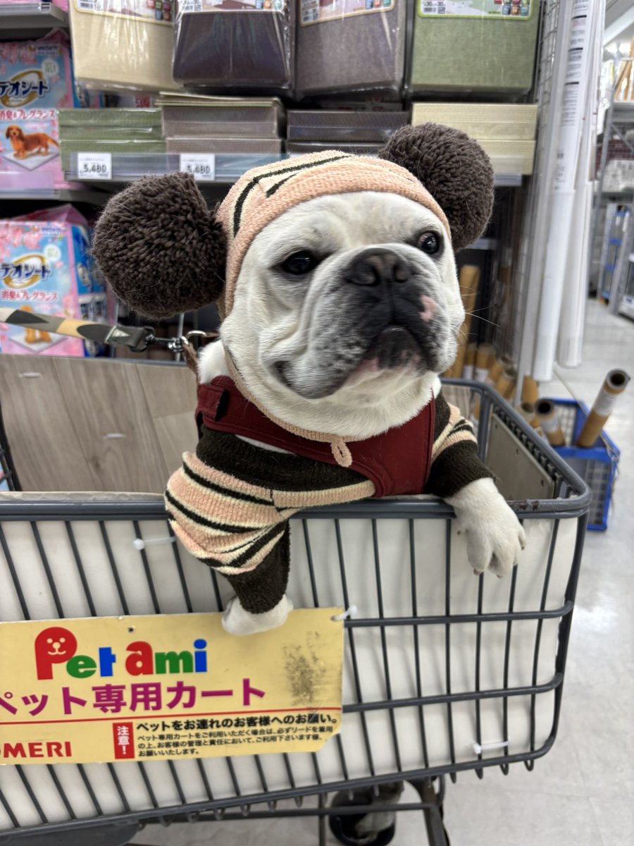okogebilly's tweet photo. @bozu_108 ダイソンからフレブル臭がする https://t.co/yMI2yEBSem