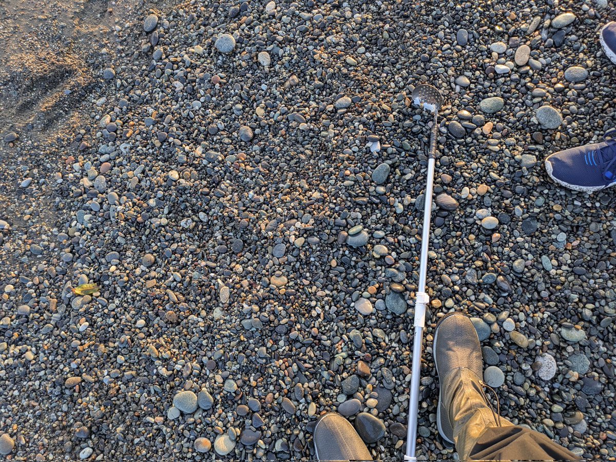 新潟に翡翠を探しに来ましたが、石の多さに絶望して立ち尽くしてるところ…
無理ゲーの予感🫠