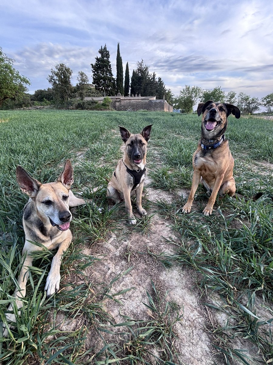 Darkness tweet media